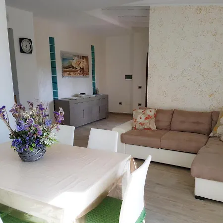 Toto 托雷拉皮罗